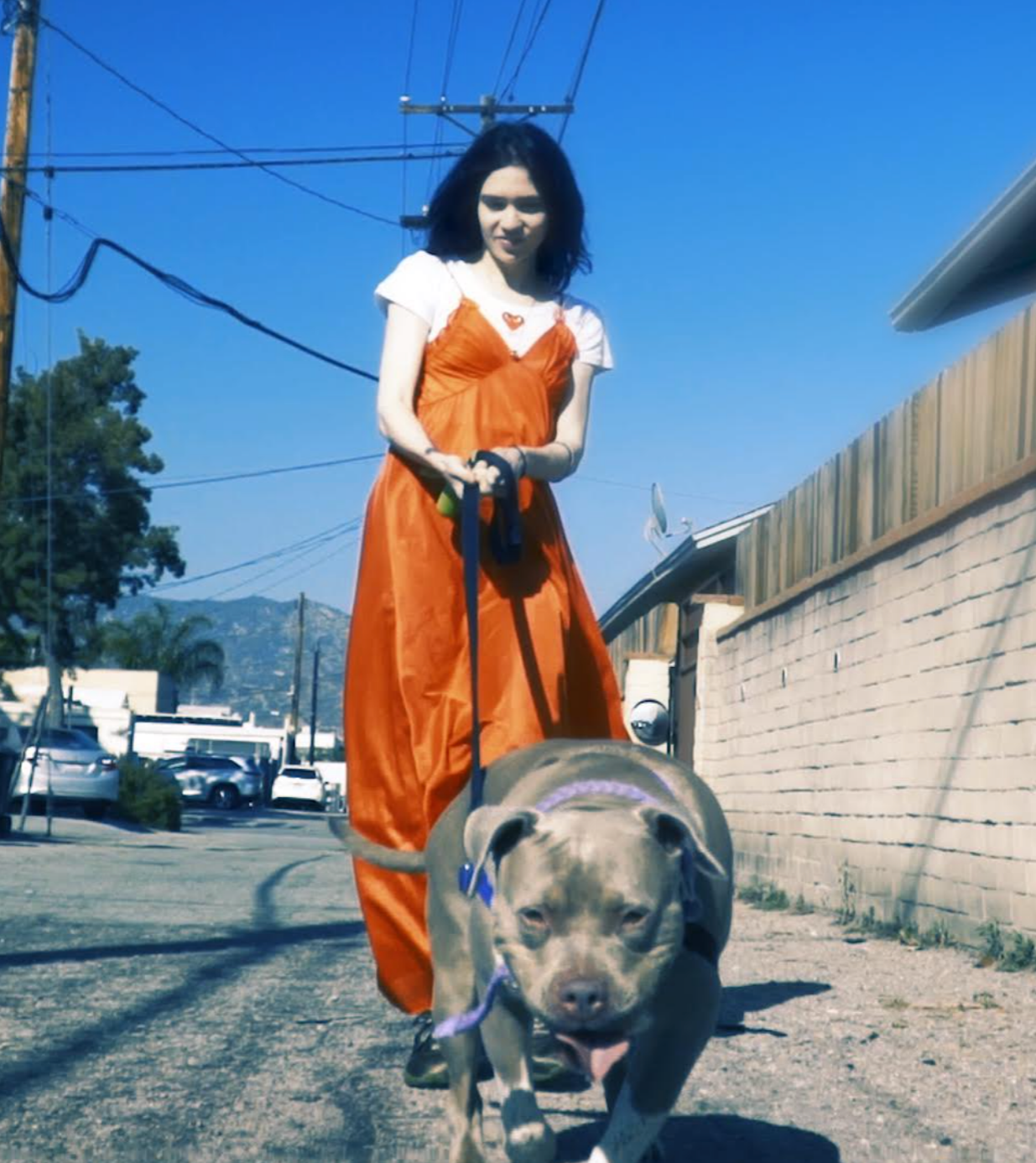 Grimes with dog profile version blog