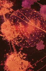 Cypher2 Shadow Corrosion Image